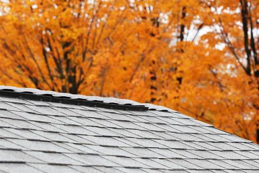 3-Tab Composition vs Green Eco-Friendly Asphalt Shingles