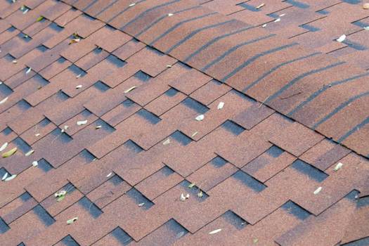 CertainTeed vs Tamko asphalt roofing shingles
