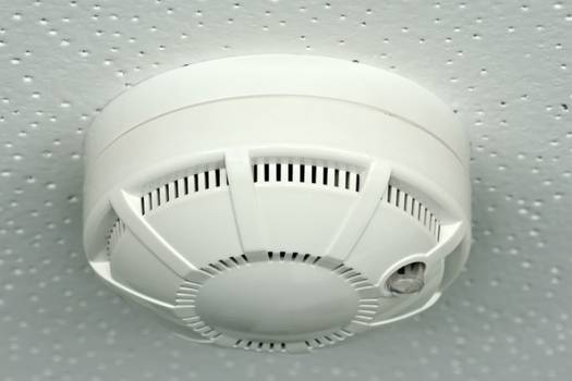 Protect America vs Protection 1 business security systems