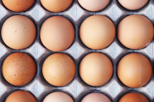 How to Clean Egg off Your Home Exterior