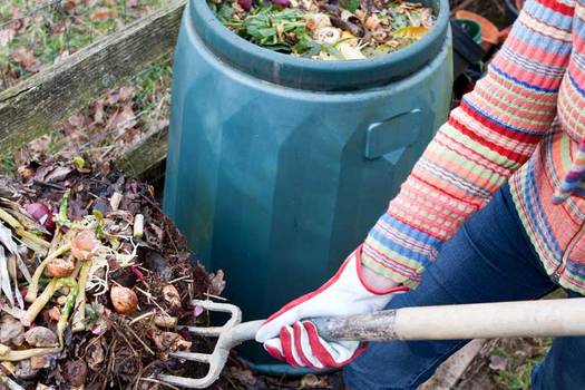 How to Start Composting in 5 Easy Steps