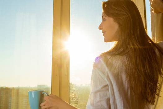 Pella Windows Designer Series prices and overview