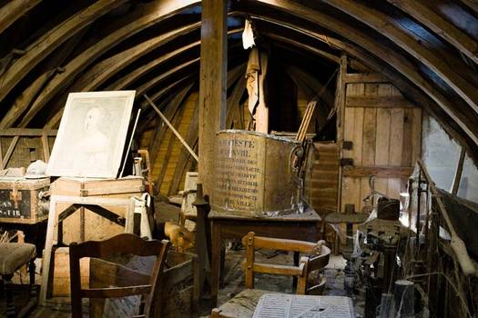 8 Ways to Prevent Bats From Nesting in Your Home