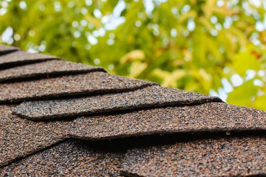 GAF vs Atlas Pro-Cut asphalt hip and ridge shingles