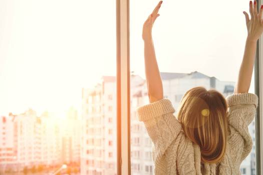 Andersen Windows at Home Depot: an overview