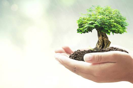 Cost Benefits Of Going Green With Your Home