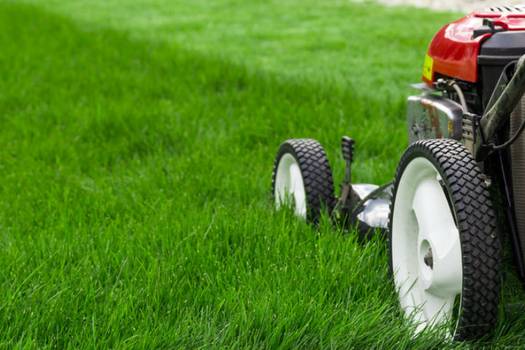 Fall Lawn Care and Winter Checklist