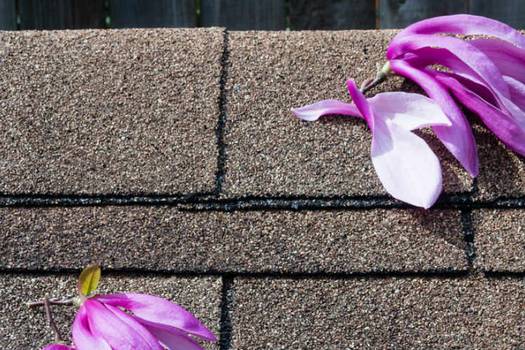 Vented roof ridges best practices