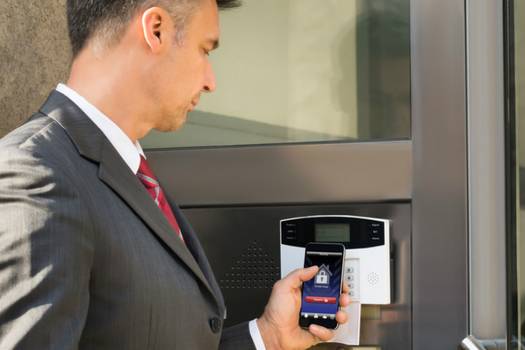 Vector home security systems: pros, cons and costs