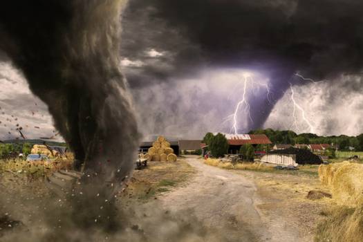 Custom-built above ground storm shelters: points to consider