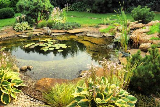 Tips for backyard Maintenance for winter months