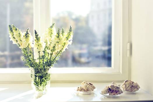 Champion bay, bow and garden window prices