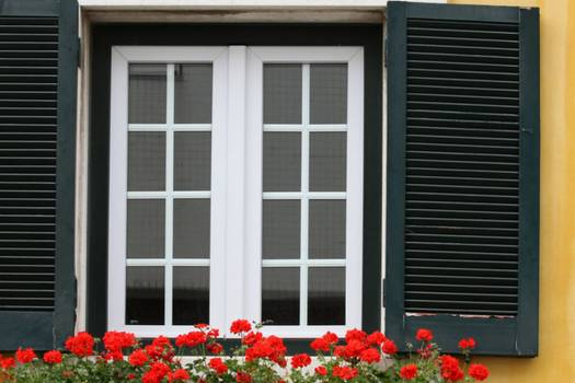 Jeld-Wen vinyl windows prices and overview